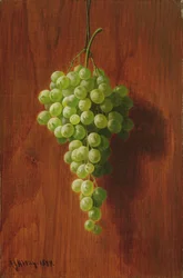 Uvas (verde), 1884