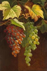 Dois cachos de uvas, s.d. (óleo sobre tela)