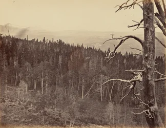Placa 13. Linha de neve e madeira, Montanhas Laramie, 1869 (foto)