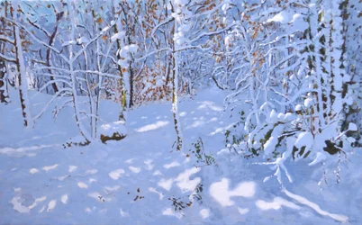 Novembro Snow,Allestree Woods,Derby,(óleo sobre tela)
