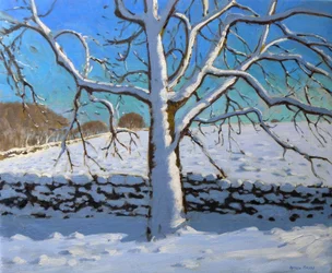 Árvore Coberta de Neve, 2011 (óleo sobre tela)