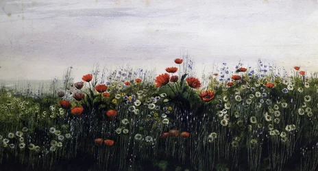 Flores de verão. Pintura de Andrew Nicholl (1804-1886) Coleção particular.