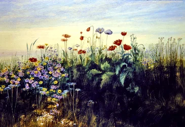 Flores silvestres (aguarela sobre papel)