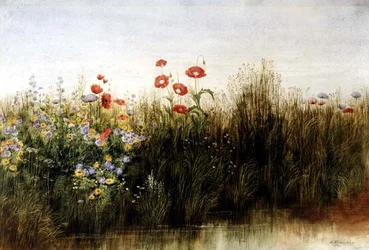 Flores silvestres por um riacho (aguarela)