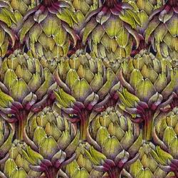 Cabeças de alcachofra, 2018
