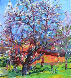 Árvore em flor na primavera
