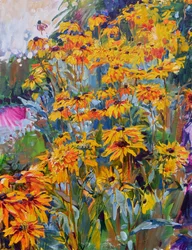 Jardim de flores de verão