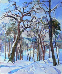 Caminho ensolarado na floresta de inverno