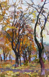 Bosques outonais vibrantes