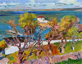 Vista vibrante da costa