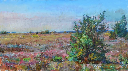 Vibrante paisagem de urze