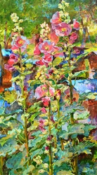 Jardim vibrante de malvas-rosas