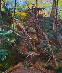 Luz da Floresta Selvagem