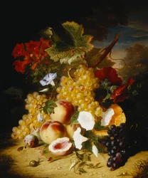 Pêssegos, Uvas, Melão, Convulvuli e Outras Flores na Paisagem,