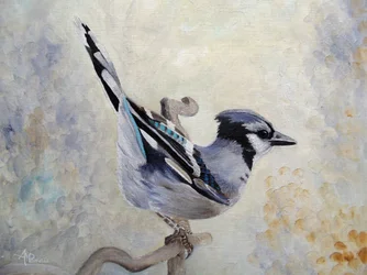 Gai-azul empoleirado