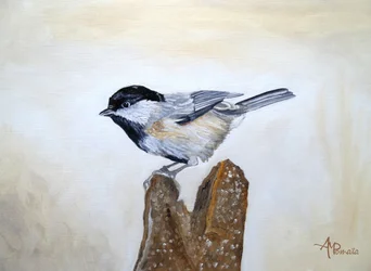 Pássaro da espécie Chickadee num tronco de árvore