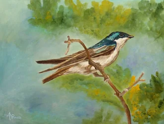Andorinha colorida em poleiro