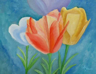 Tulipas coloridas da primavera