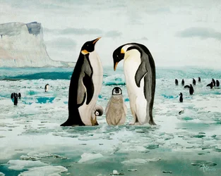 Família do pinguim-imperador