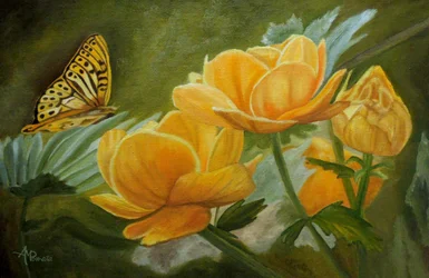 Borboleta das Flores Douradas