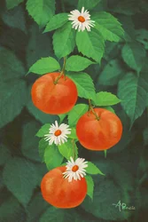 Frutos de laranja e margaridas