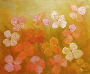 Flores de cores vivas