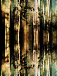 Sombras abstratas da floresta
