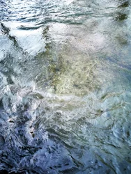 Fluxo de água límpida
