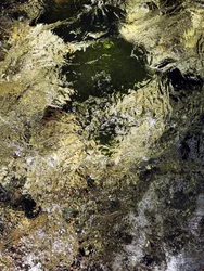 Brilho Dourado da Água