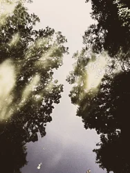 O Céu Espelhado da Natureza