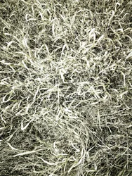 Relva com textura