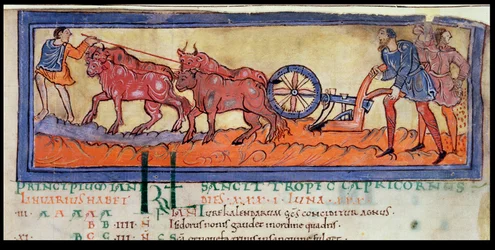 Cott Tib B V f.3 Arado, de um Calendário, c.1030 (vellum)