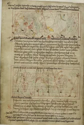 Algodão Claudius B. IV, f.25v Abraham e Lot