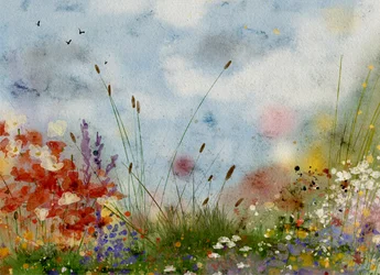 Campo de flores coloridas