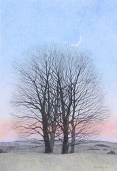 Lua Nova, 2011 (lápis colorido sobre papel)