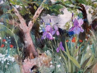 Jardim mediterrânico com íris, 2019