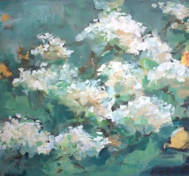O Jardim Branco Floresce