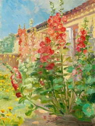 Malvas-rosa no jardim da família Ancher, em Markvej, Skagen.