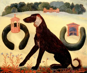 Cão do deserto