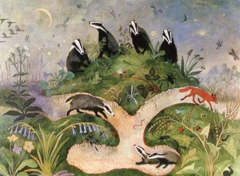 Céu Noturno, 2001 (acrílico)