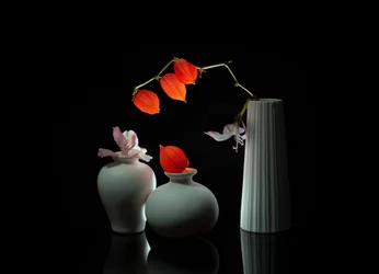 Elegante natureza-morta floral