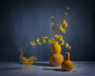 Natureza-morta com forsítia dourada
