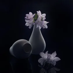 Flores e jarras melancólicas
