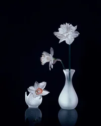 Natureza-morta com narcisos brancos