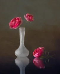 Reflexo num vaso de rosas