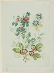 Flores