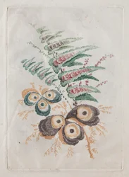 Nova suíte de portfólios de flores, ideal para o design e a pintura: fantasias florais, c. 179