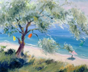 Olhando para uma praia