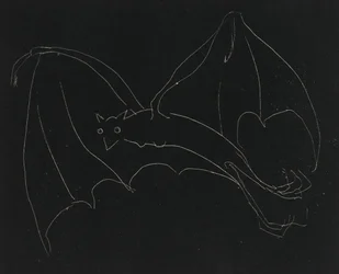 Série da noite: The Bat (gravura, linha branca em papel de capa)