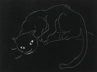 Série Noturna: O Gato (lito, linha branca em papel de capa)